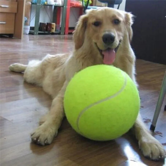 24CM Giant Tennis Ball Dog Toy